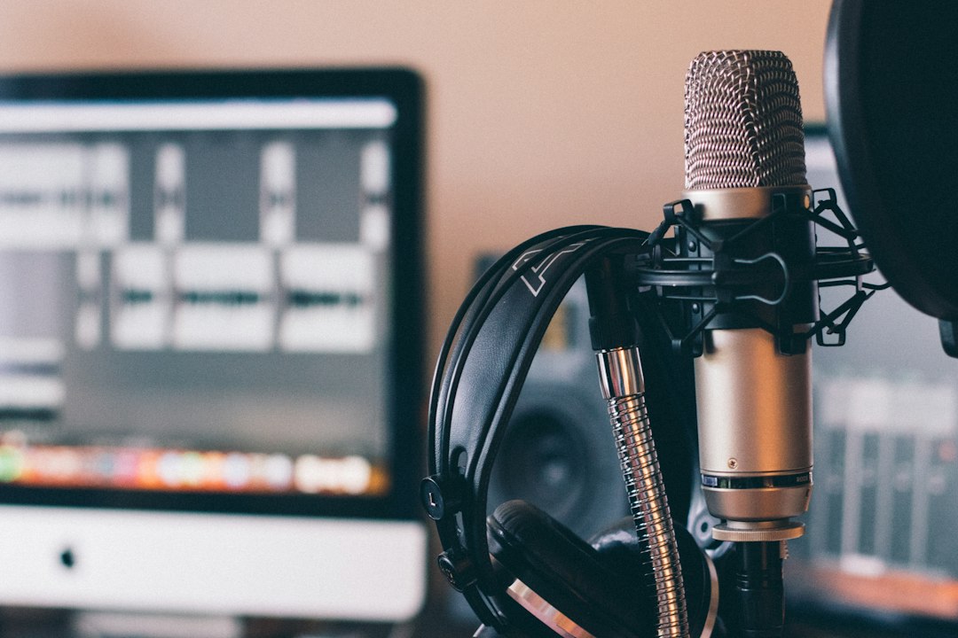 Portable Reflection Filters: Acoustic Shield Placement Behind Studio Microphones hardware assembly and wiring configuration
